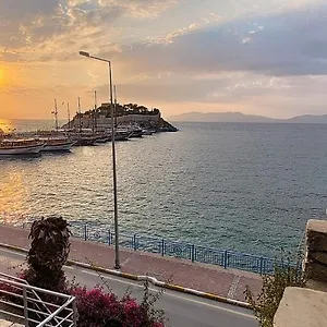 Amazing Seaview Flat Turkey